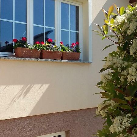 Apartments Place4You Bjelovar Eksteriør bilde
