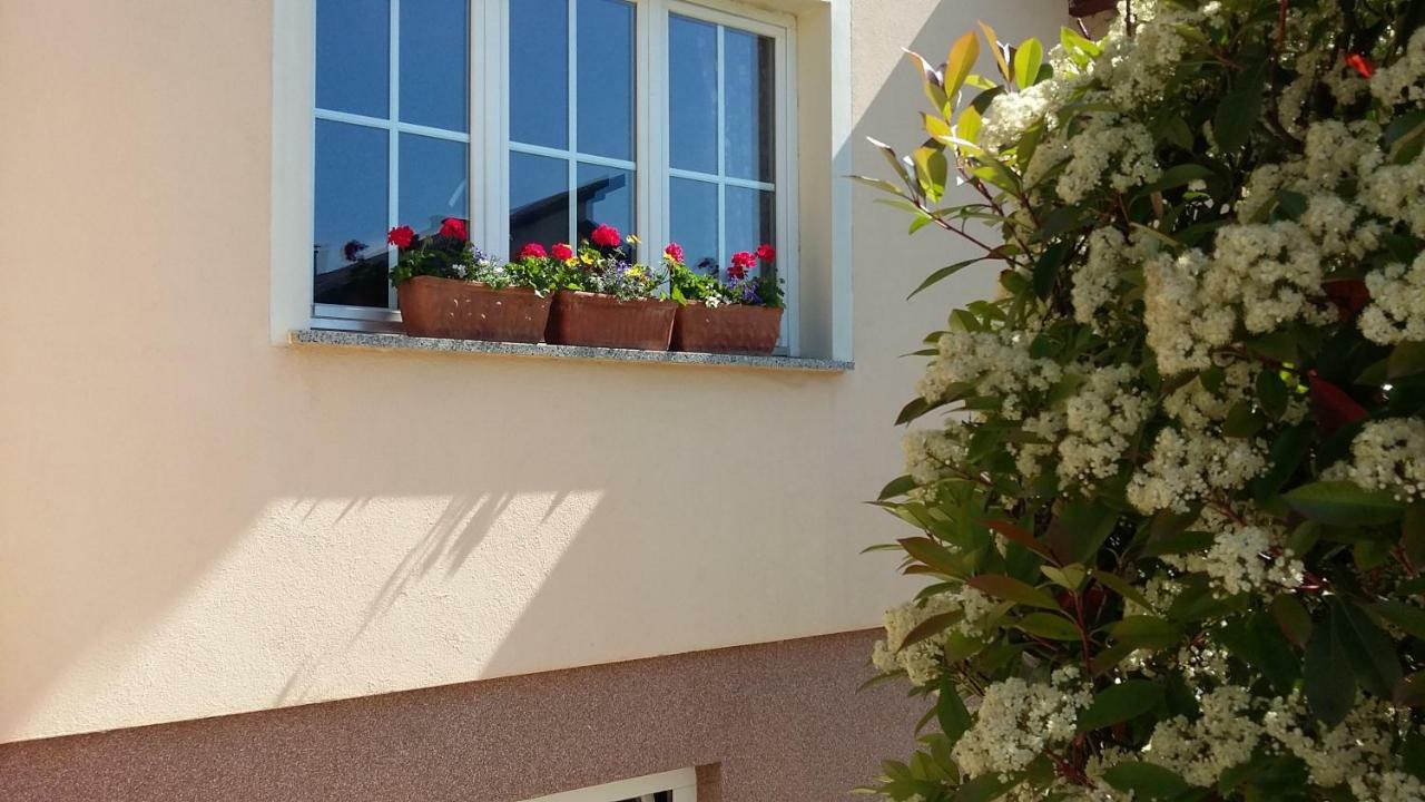 Apartments Place4You Bjelovar Eksteriør bilde